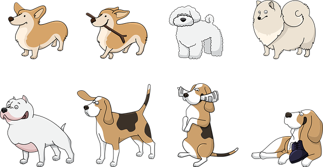 Hunde Hunde